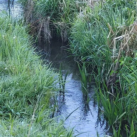 Apartament Fuer 5 Personen In Breitenthal Naehe Idar-oberstein