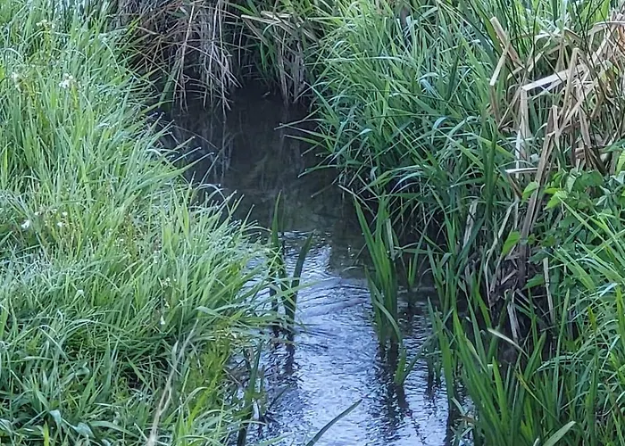 Apartamento Fuer 5 Personen In Breitenthal Naehe Idar-oberstein